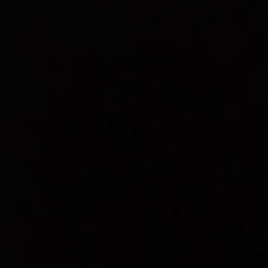 Meet your Posher, Victory